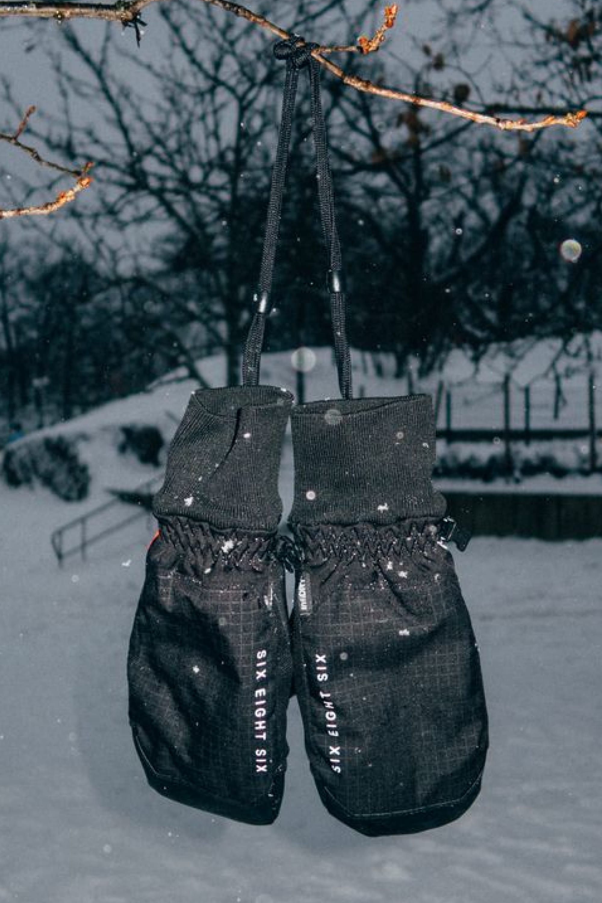 A pair of 686 Men’s Crush Insulated Mitts, featuring the SIX EIGHT SIX logo in black, hang from a tree branch above a snowy outdoor landscape at dusk.